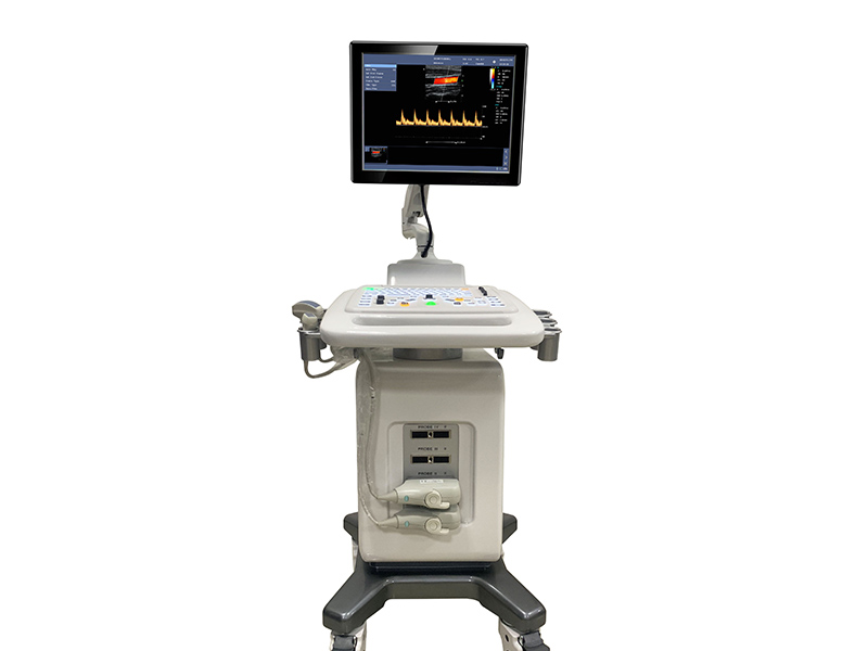 C300 Color Doppler System